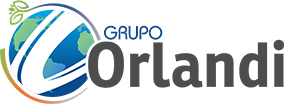 Grupo Orlandi